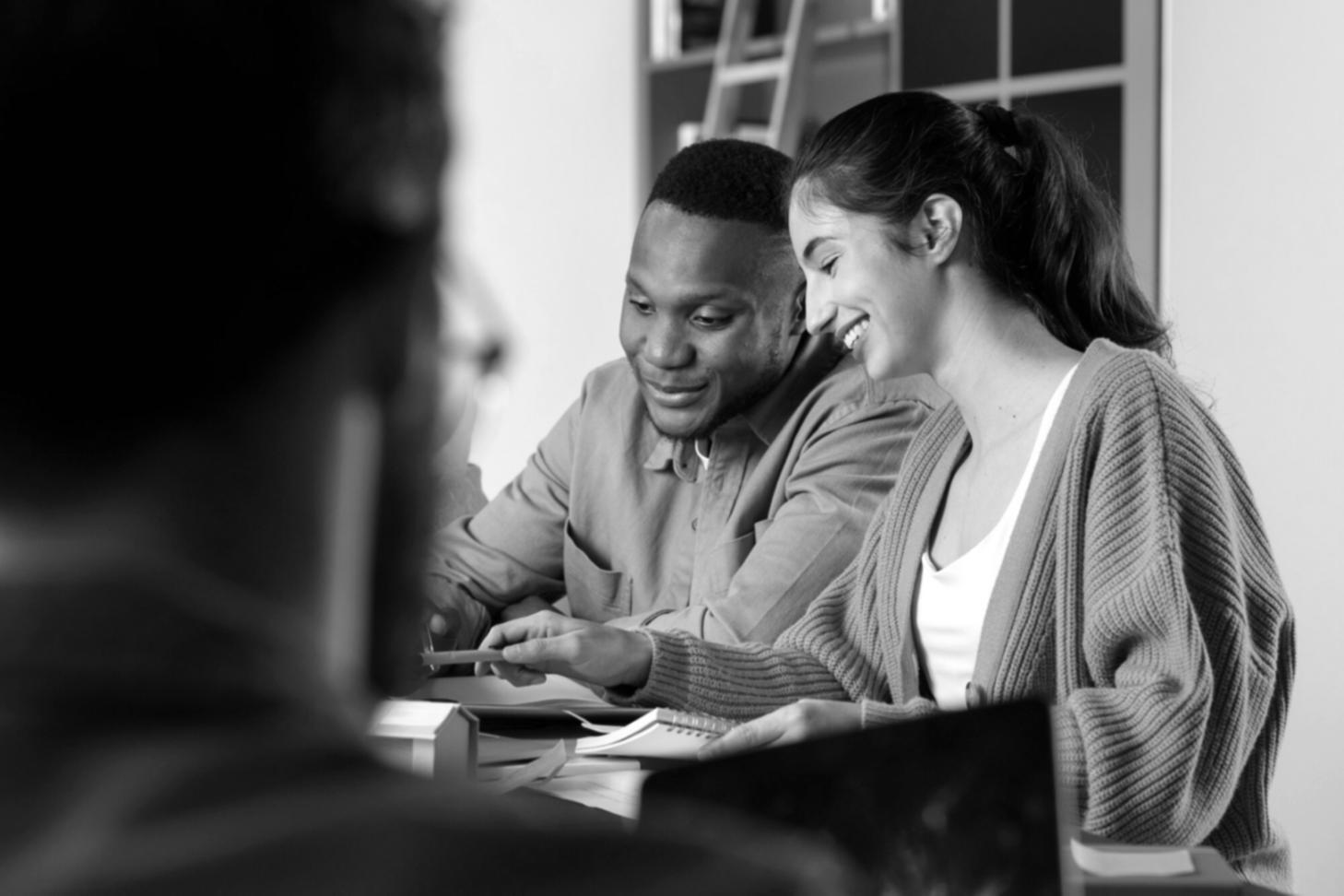 Student plant Budget am Laptop